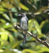 033.jpeg - 2019:02:11 06:39:29