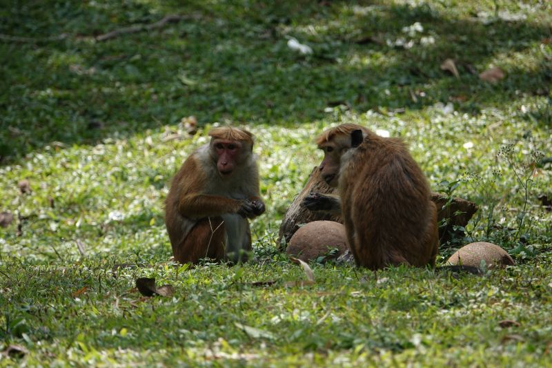 Viewing photos→2019→2019-02-10→051