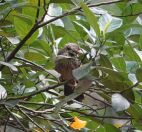 063.jpeg - 2019:02:11 08:38:39