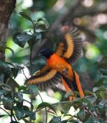 067.jpeg - 2019:02:11 08:54:46