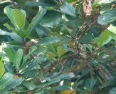 068.jpeg - 2019:02:11 08:56:21