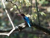 069.jpeg - 2019:02:11 09:14:58