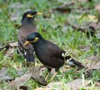 072.jpeg - 2019:02:11 09:50:30