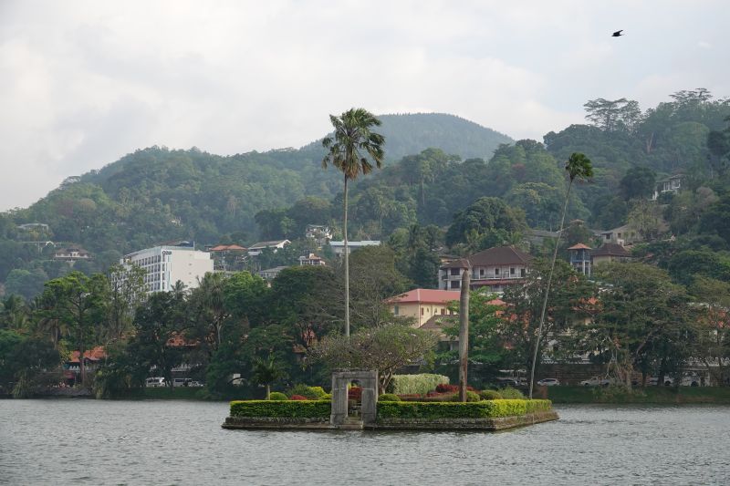 Viewing photos→2019→2019-02-10→075