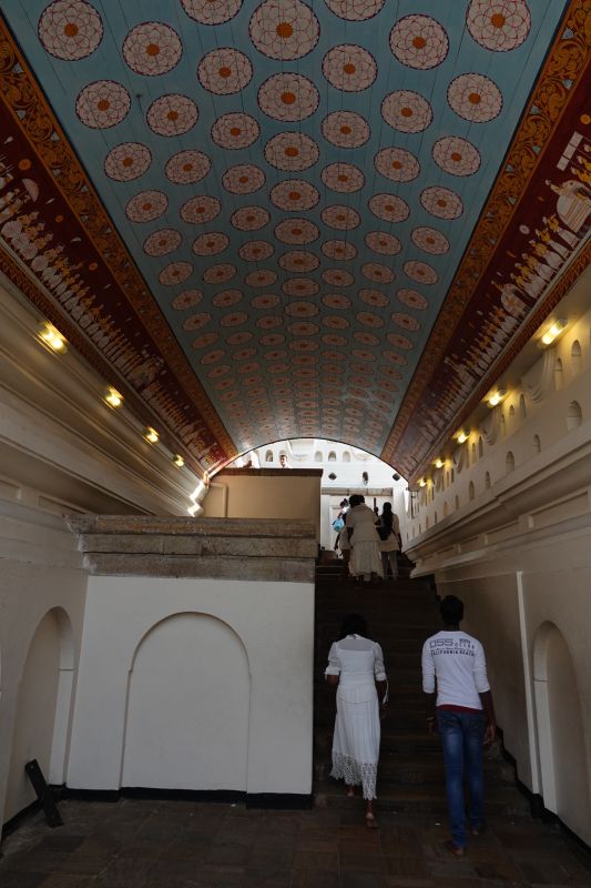 Viewing photos→2019→2019-02-10→085