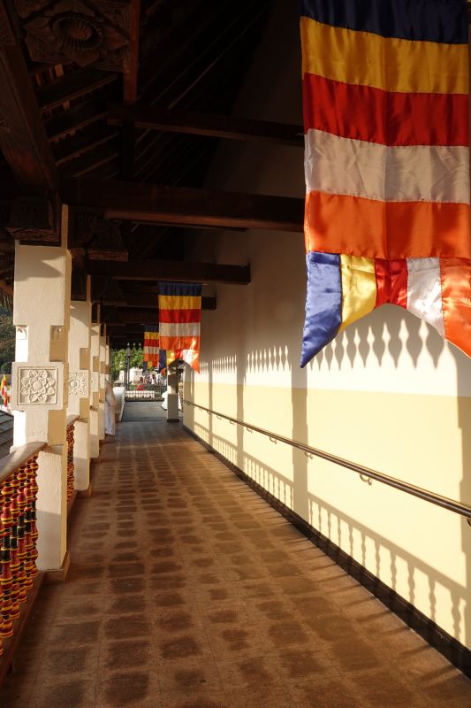 Viewing photos→2019→2019-02-10→088