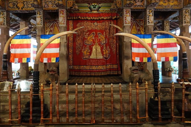 Viewing photos→2019→2019-02-10→090