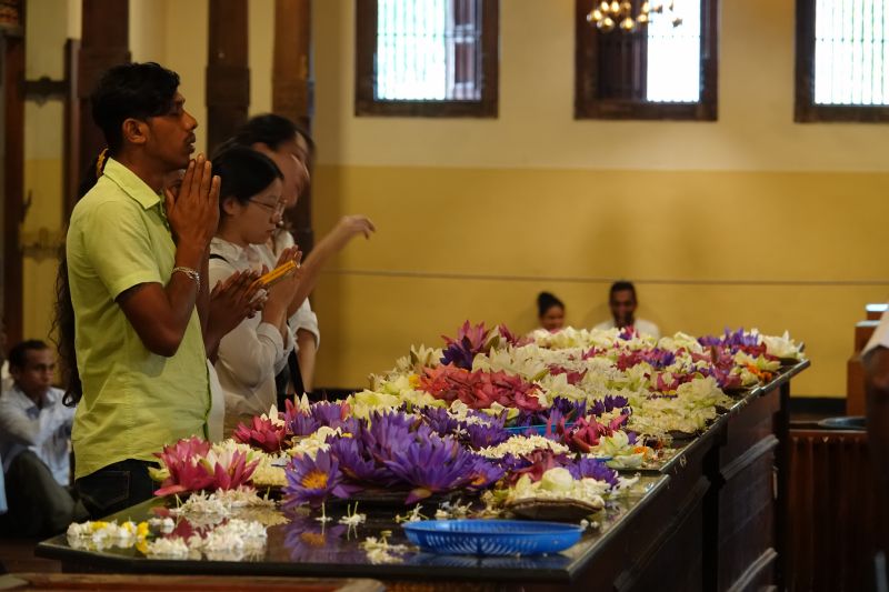 Viewing photos→2019→2019-02-10→093