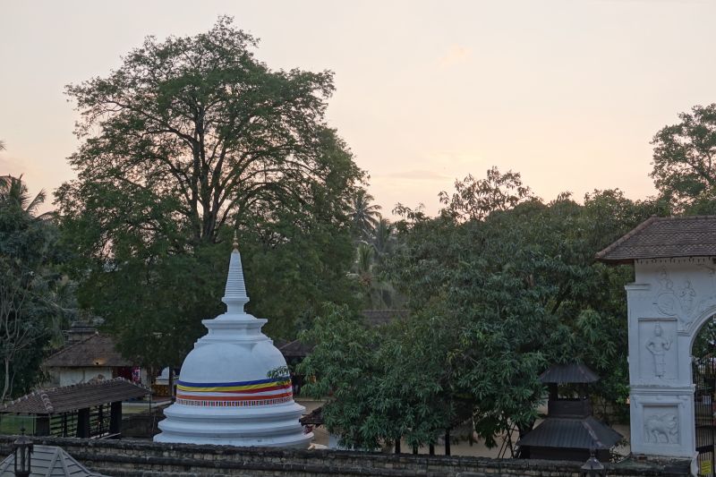 Viewing photos→2019→2019-02-10→102