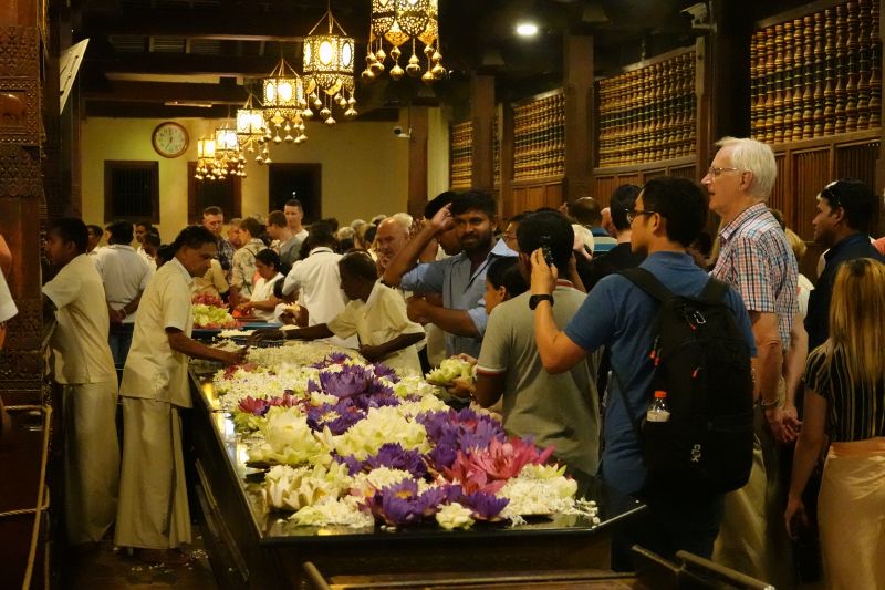 Viewing photos→2019→2019-02-10→110