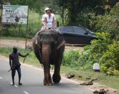 04.jpeg - 2019:02:12 08:17:45