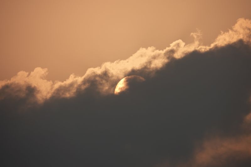 Viewing photos→2019→2019-02-12→19