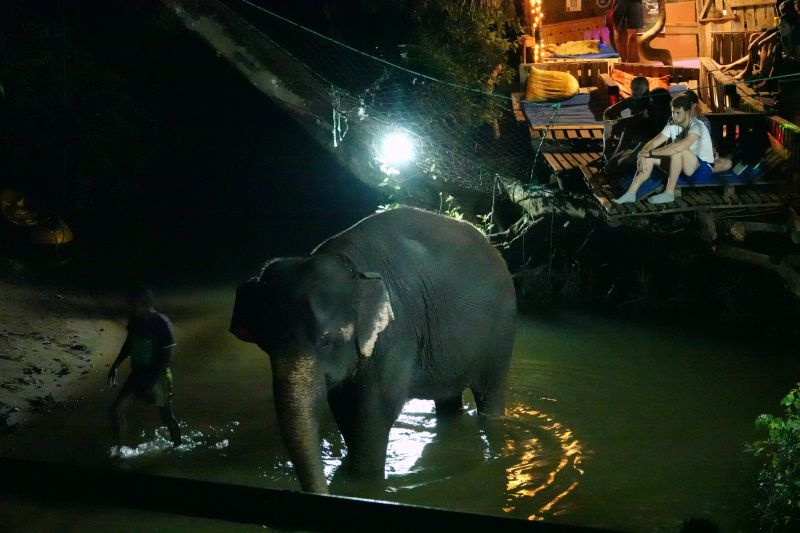 Viewing photos→2019→2019-02-12→24