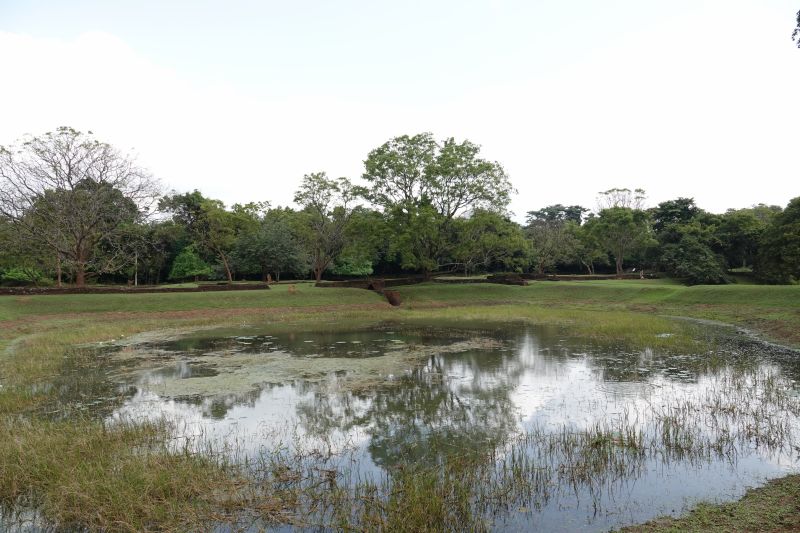 Viewing photos→2019→2019-02-12→33