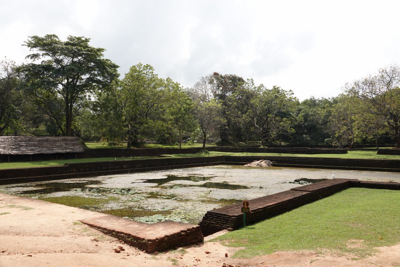 Viewing photos→2019→2019-02-12→34