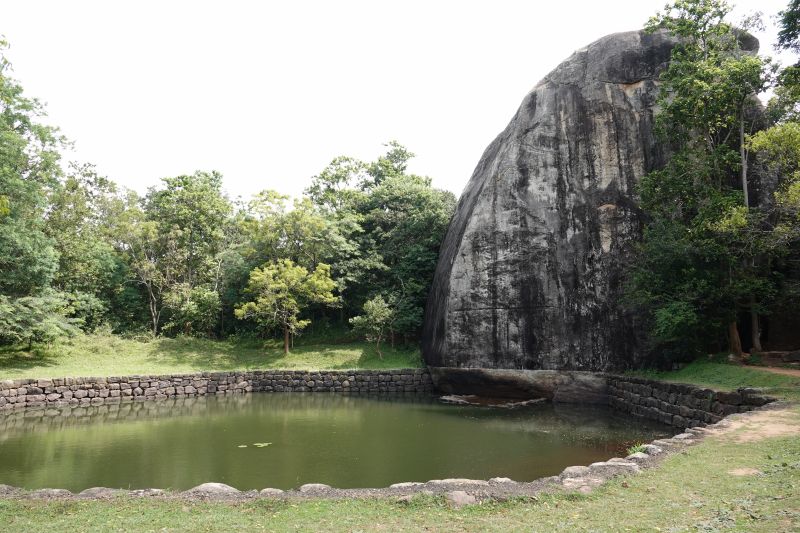 Viewing photos→2019→2019-02-12→37