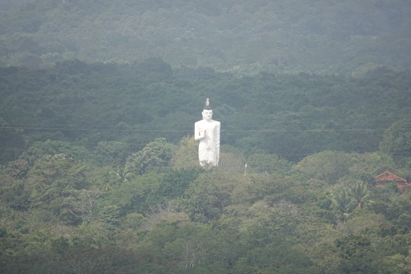 Viewing photos→2019→2019-02-12→47