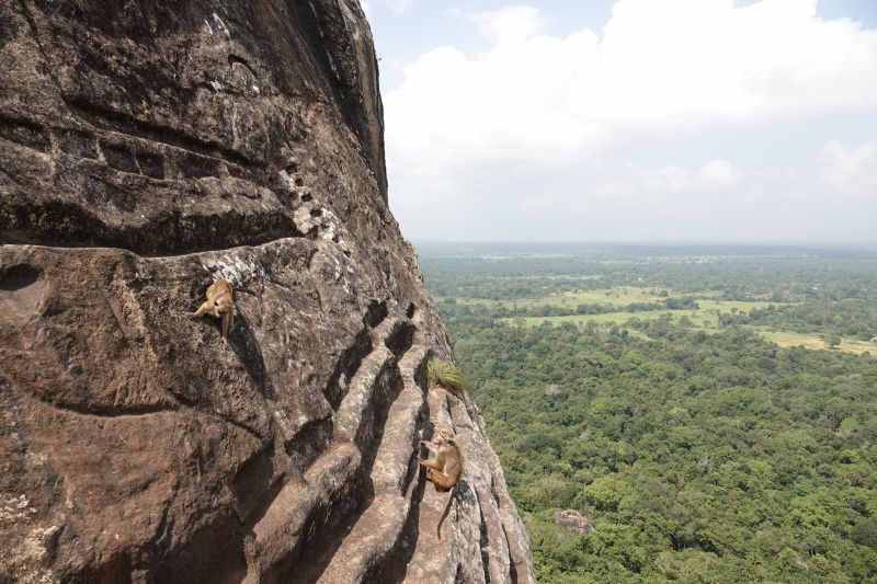 Viewing photos→2019→2019-02-12→55