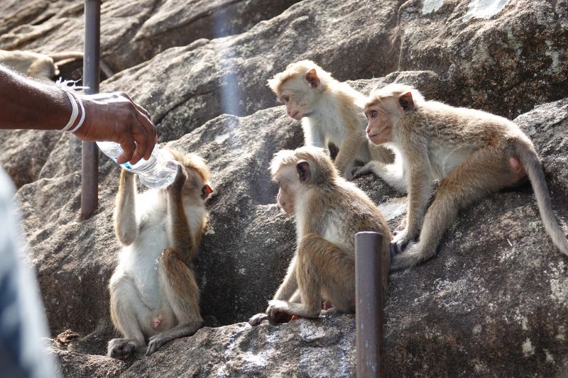 Viewing photos→2019→2019-02-12→56