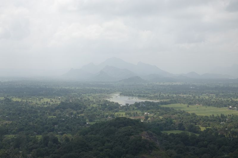 Viewing photos→2019→2019-02-12→61