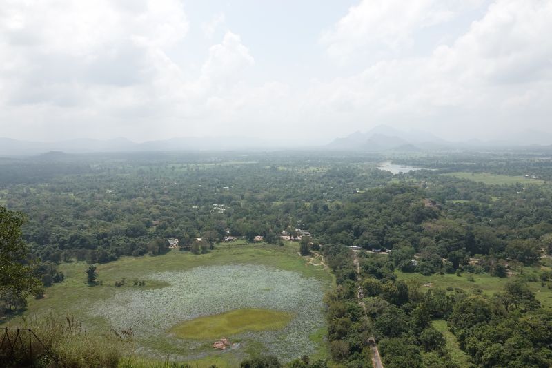 Viewing photos→2019→2019-02-12→64