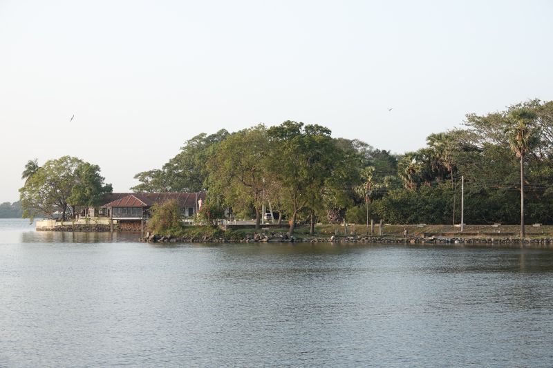 Viewing photos→2019→2019-02-13→006