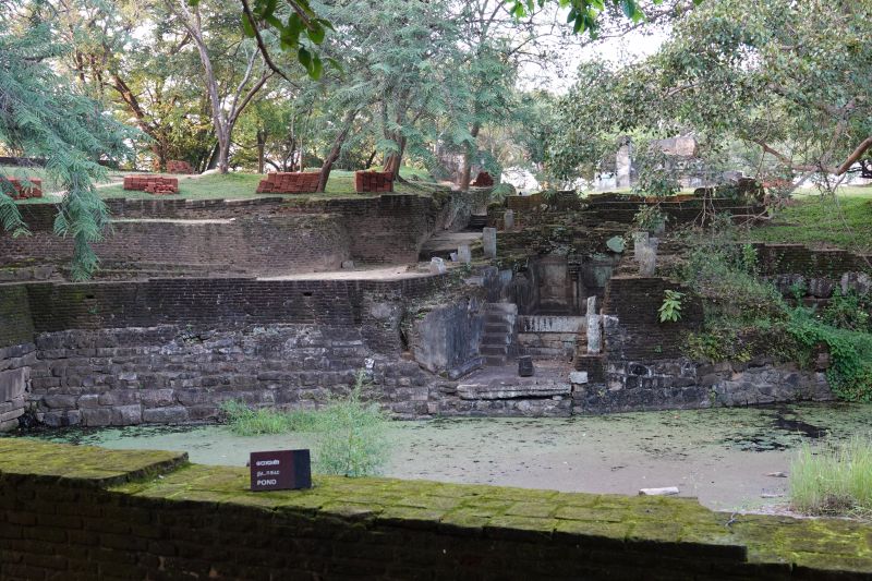 Viewing photos→2019→2019-02-13→012