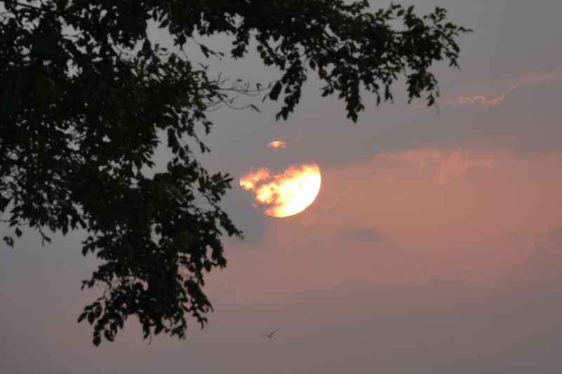 Viewing photos→2019→2019-02-13→019