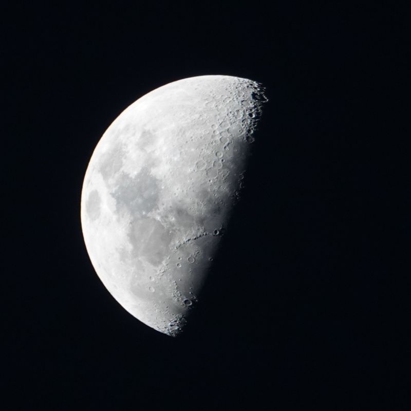 Viewing photos→2019→2019-02-13→024