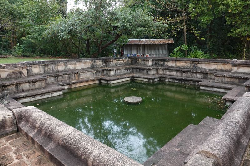 Viewing photos→2019→2019-02-13→031