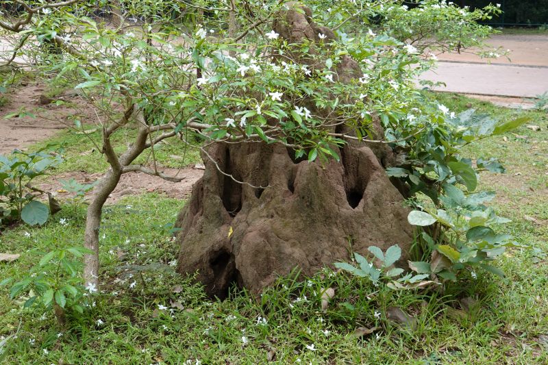 Viewing photos→2019→2019-02-13→070