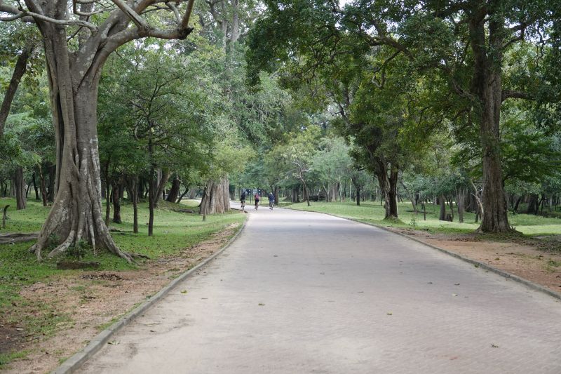 Viewing photos→2019→2019-02-13→073