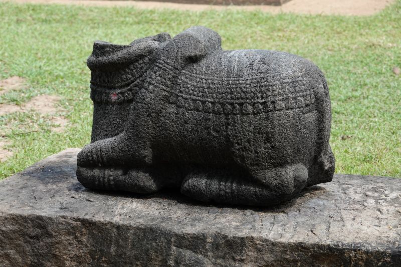 Viewing photos→2019→2019-02-13→075