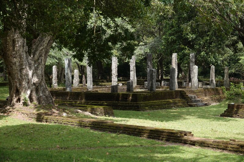 Viewing photos→2019→2019-02-13→079