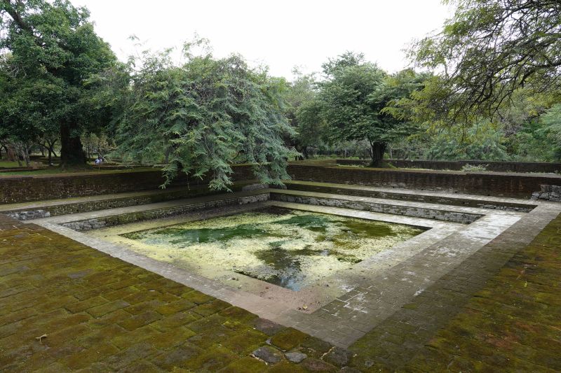 Viewing photos→2019→2019-02-13→090