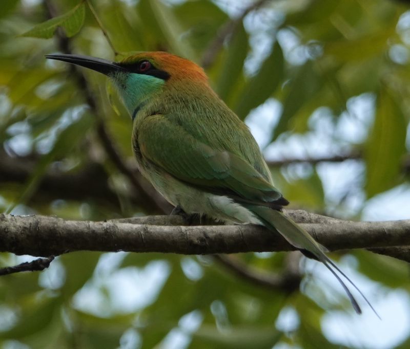 Viewing photos→2019→2019-02-13→105