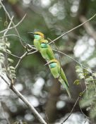 106.jpeg - 2019:02:14 07:05:33