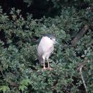 004.jpg - 2019:02:14 12:38:50