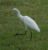 011.jpeg - 2019:02:15 05:58:28