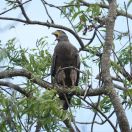 015.jpeg - 2019:02:15 06:16:21