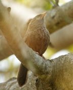 017.jpeg - 2019:02:15 06:55:48