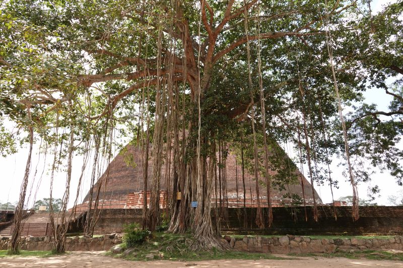 Viewing photos→2019→2019-02-14→018