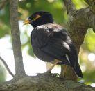 021.jpeg - 2019:02:15 07:14:32