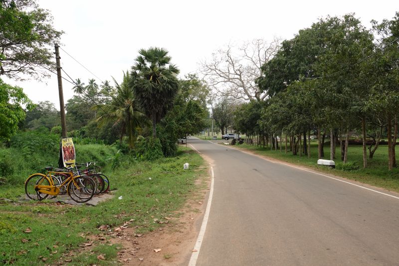 Viewing photos→2019→2019-02-14→045