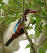 048.jpeg - 2019:02:15 08:38:23