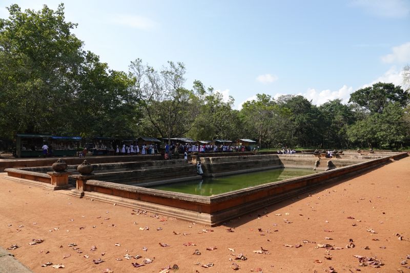 Viewing photos→2019→2019-02-14→059