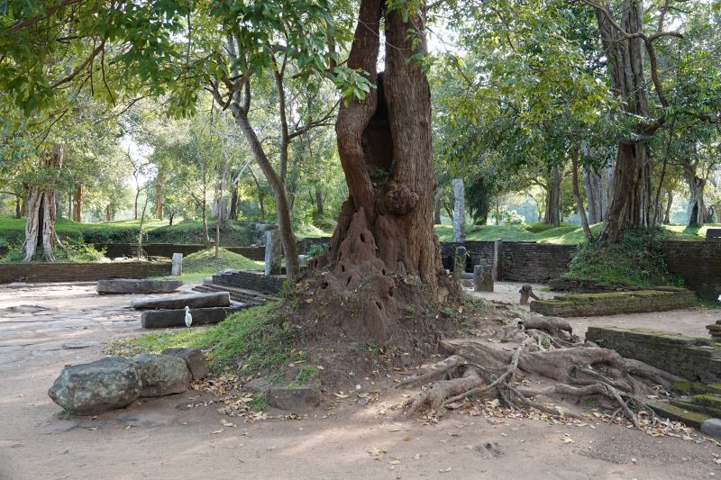 Viewing photos→2019→2019-02-14→090