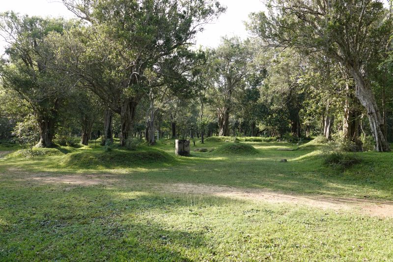 Viewing photos→2019→2019-02-14→094