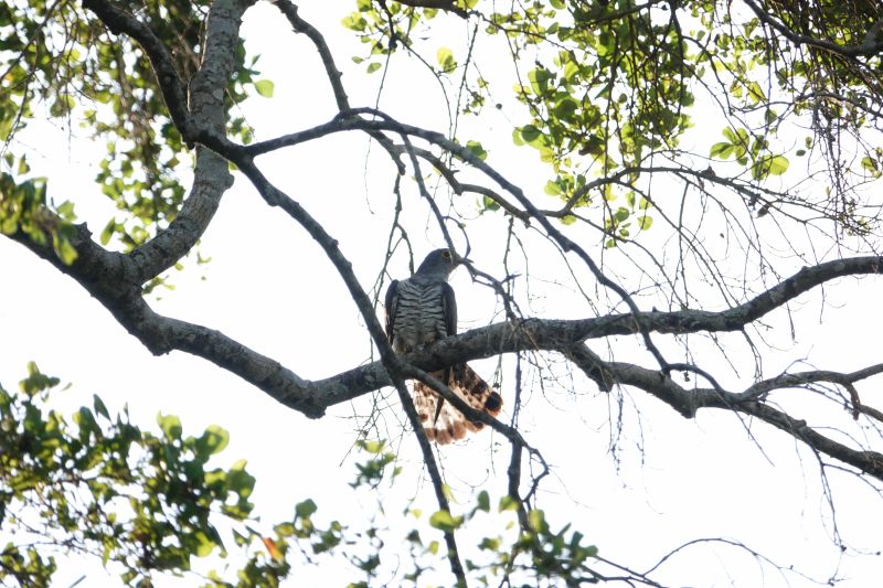 Viewing photos→2019→2019-02-14→107