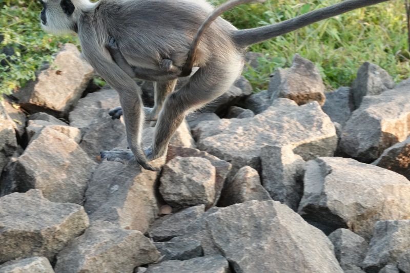 Viewing photos→2019→2019-02-14→113